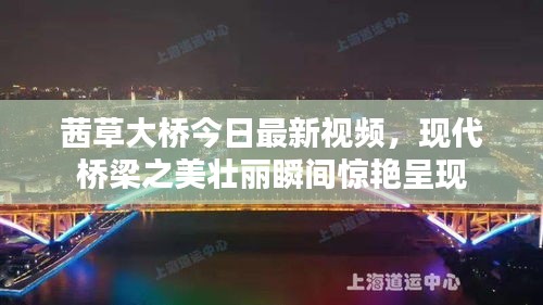 茜草大桥今日最新视频，现代桥梁之美壮丽瞬间惊艳呈现