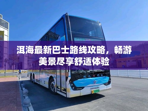 洱海最新巴士路线攻略，畅游美景尽享舒适体验