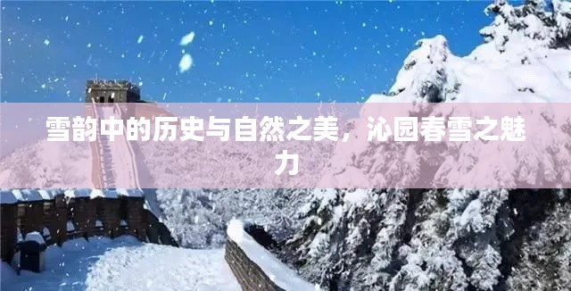 雪韵中的历史与自然之美，沁园春雪之魅力