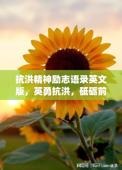 抗洪精神励志语录英文版，英勇抗洪，砥砺前行