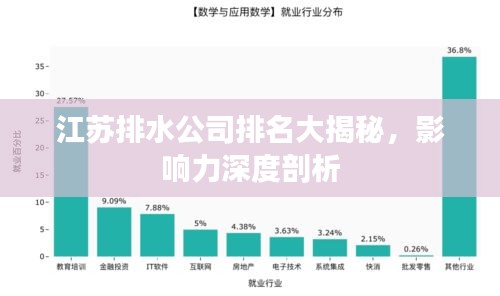 江苏排水公司排名大揭秘，影响力深度剖析