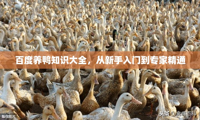肝胆相照