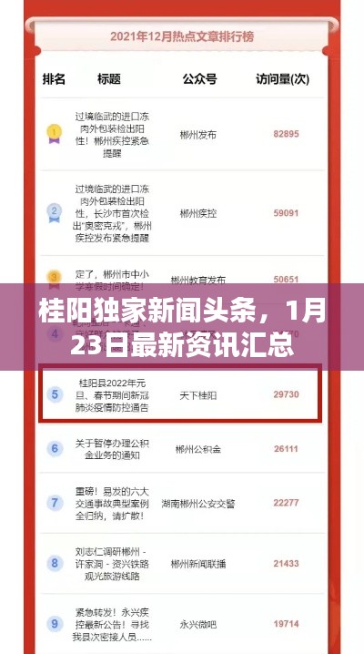 桂阳独家新闻头条，1月23日最新资讯汇总