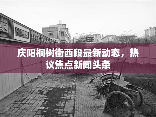 庆阳桐树街西段最新动态，热议焦点新闻头条