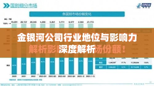 金银河公司行业地位与影响力深度解析