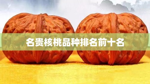 名贵核桃品种排名前十名