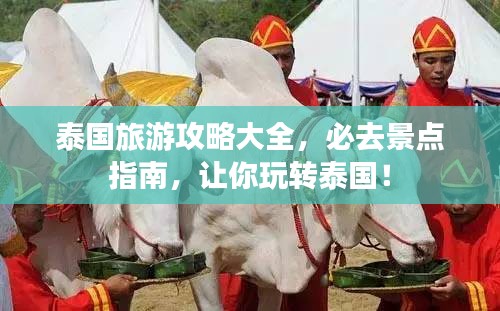 泰国旅游攻略大全，必去景点指南，让你玩转泰国！