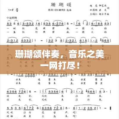 珊瑚颂伴奏，音乐之美一网打尽！