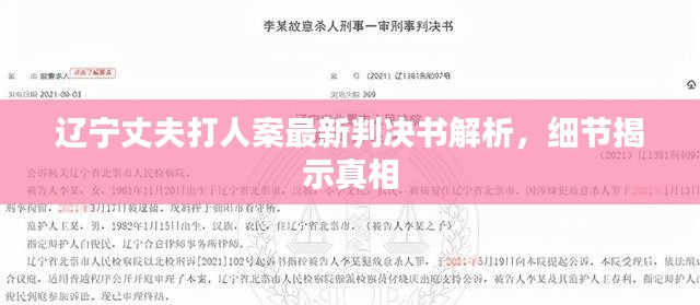 辽宁丈夫打人案最新判决书解析，细节揭示真相