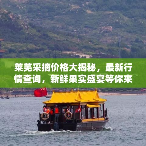 莱芜采摘价格大揭秘，最新行情查询，新鲜果实盛宴等你来享！