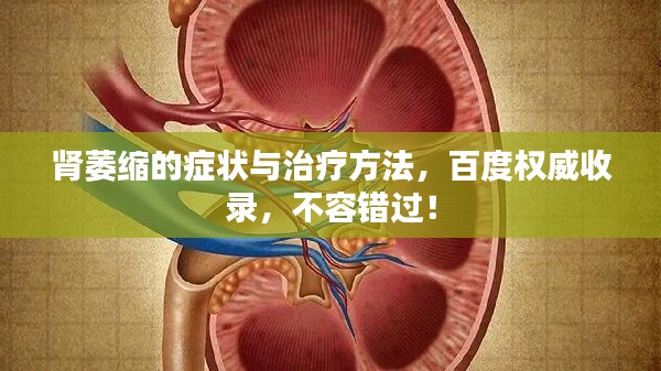 肾萎缩的症状与治疗方法，百度权威收录，不容错过！