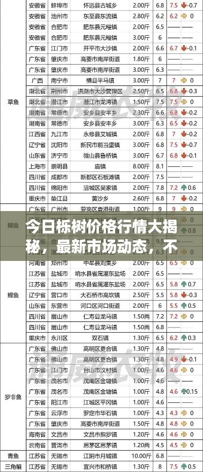 今日栎树价格行情大揭秘，最新市场动态，不容错过！