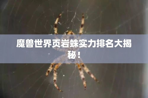 魔兽世界页岩蛛实力排名大揭秘！