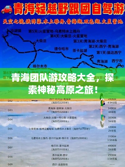 青海团队游攻略大全，探索神秘高原之旅！