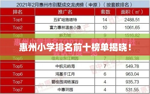 惠州小学排名前十榜单揭晓！
