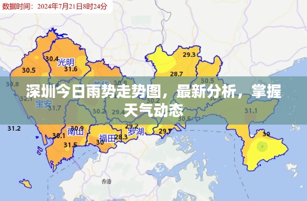 深圳今日雨势走势图，最新分析，掌握天气动态