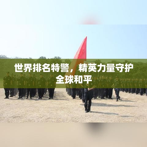 世界排名特警，精英力量守护全球和平