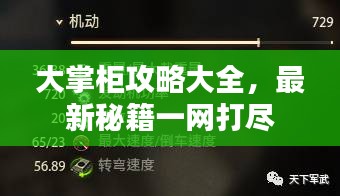 大掌柜攻略大全，最新秘籍一网打尽