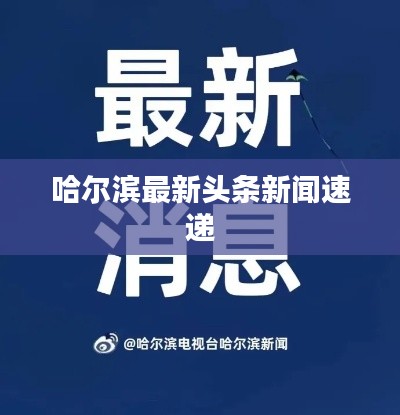 哈尔滨最新头条新闻速递