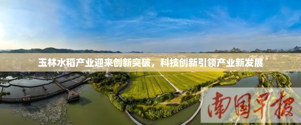 玉林水稻产业迎来创新突破，科技创新引领产业新发展