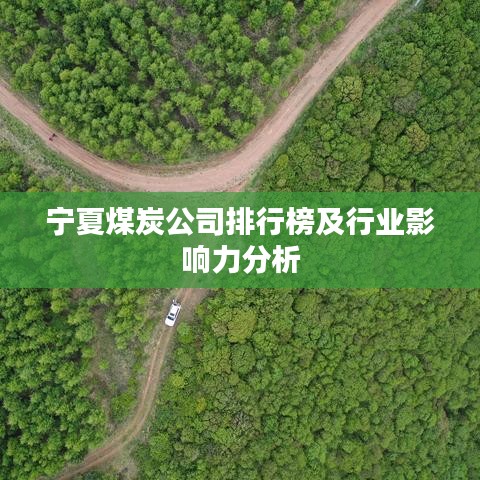 宁夏煤炭公司排行榜及行业影响力分析