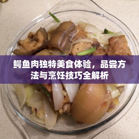 鳄鱼肉独特美食体验，品尝方法与烹饪技巧全解析