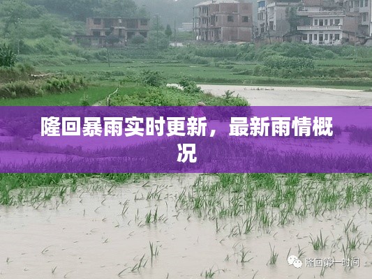 隆回暴雨实时更新，最新雨情概况