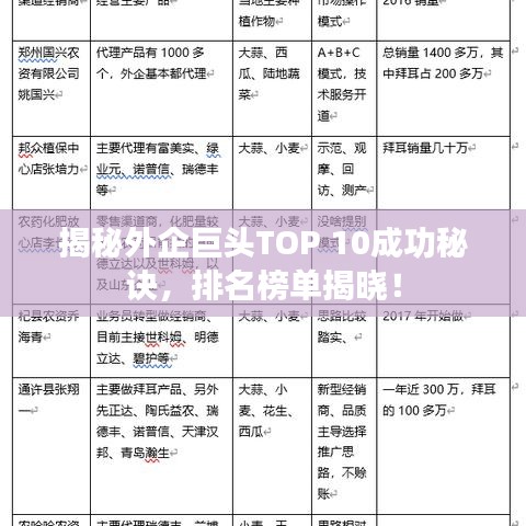 揭秘外企巨头TOP 10成功秘诀，排名榜单揭晓！