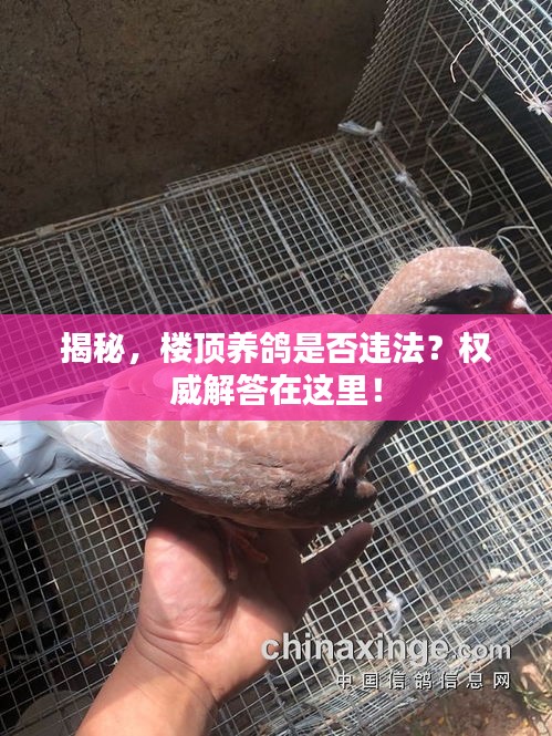 新闻 第15页
