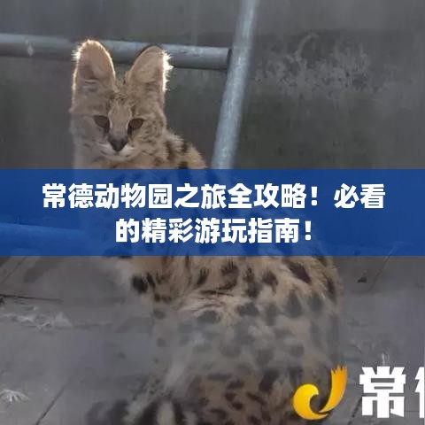 常德动物园之旅全攻略！必看的精彩游玩指南！