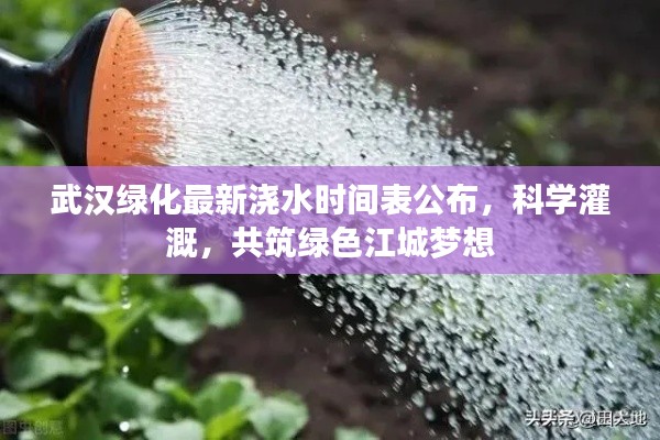 武汉绿化最新浇水时间表公布，科学灌溉，共筑绿色江城梦想