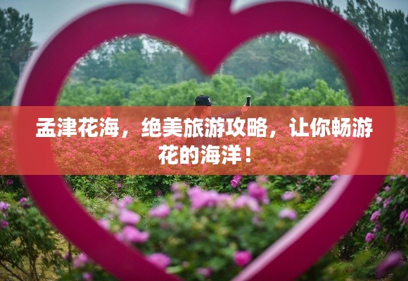 孟津花海，绝美旅游攻略，让你畅游花的海洋！