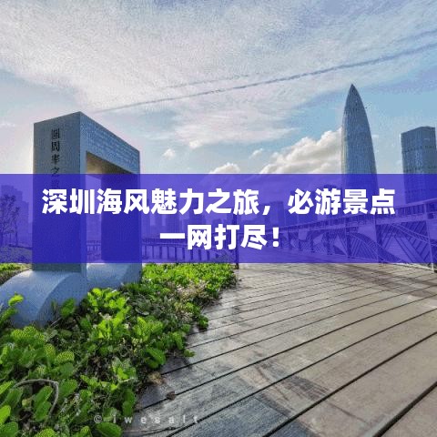 深圳海风魅力之旅，必游景点一网打尽！