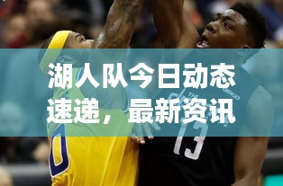 湖人队今日动态速递，最新资讯一网打尽！