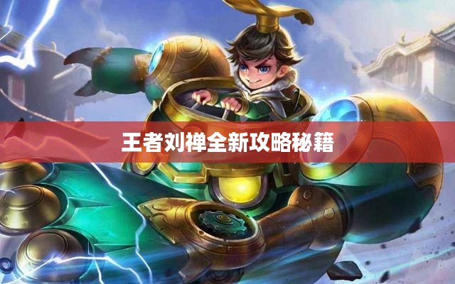 王者刘禅全新攻略秘籍