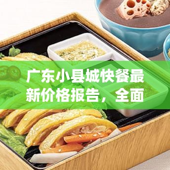 广东小县城快餐最新价格报告，全面解析快餐消费趋势与价格变动