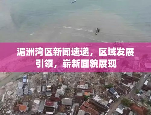 湄洲湾区新闻速递，区域发展引领，崭新面貌展现