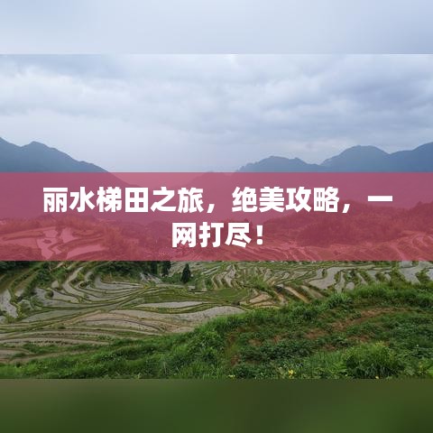 丽水梯田之旅，绝美攻略，一网打尽！