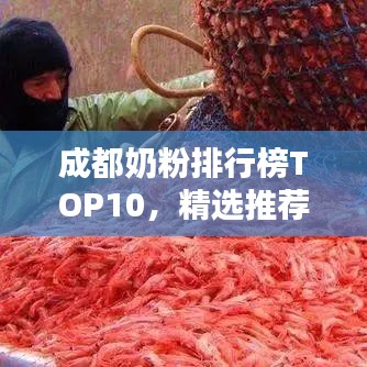 成都奶粉排行榜TOP10，精选推荐高品质奶粉