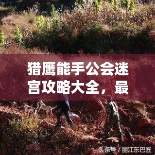 猎鹰能手公会迷宫攻略大全，最新攻略揭秘！