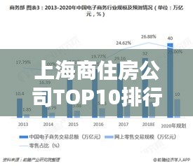 上海商住房公司TOP10排行榜，行业领军者一览