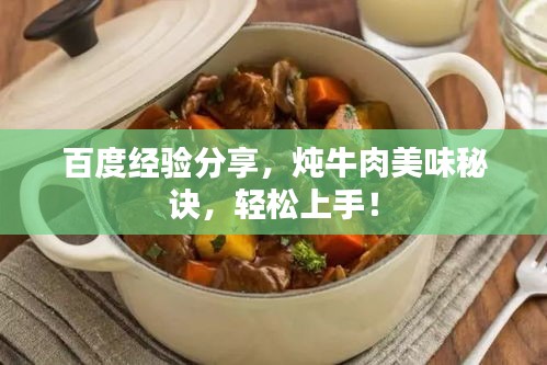 百度经验分享，炖牛肉美味秘诀，轻松上手！