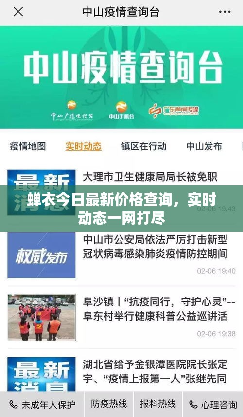蝉衣今日最新价格查询，实时动态一网打尽