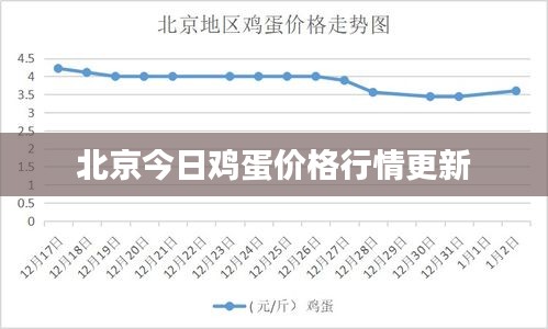 鸢飞戾天