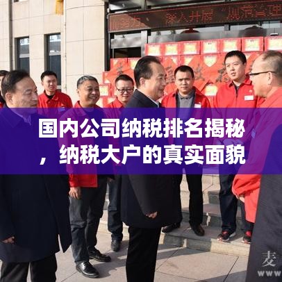 国内公司纳税排名揭秘，纳税大户的真实面貌曝光！
