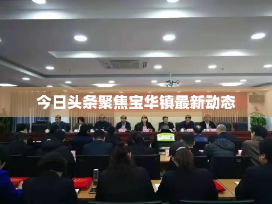 今日头条聚焦宝华镇最新动态