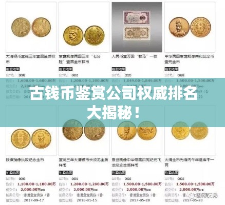 古钱币鉴赏公司权威排名大揭秘！