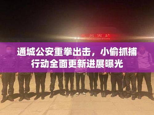 通城公安重拳出击，小偷抓捕行动全面更新进展曝光
