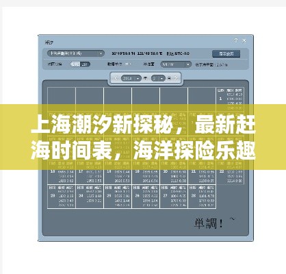 上海潮汐新探秘，最新赶海时间表，海洋探险乐趣无限！