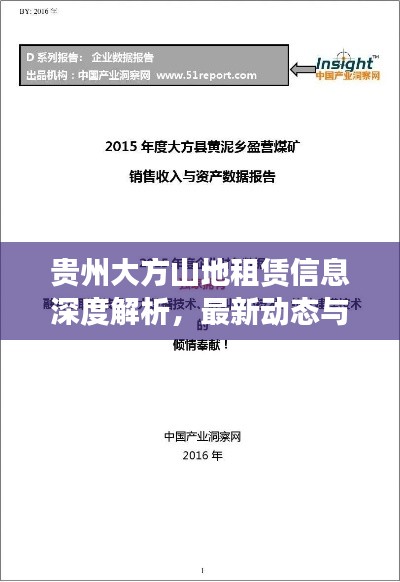 贵州大方山地租赁信息深度解析，最新动态与趋势分析